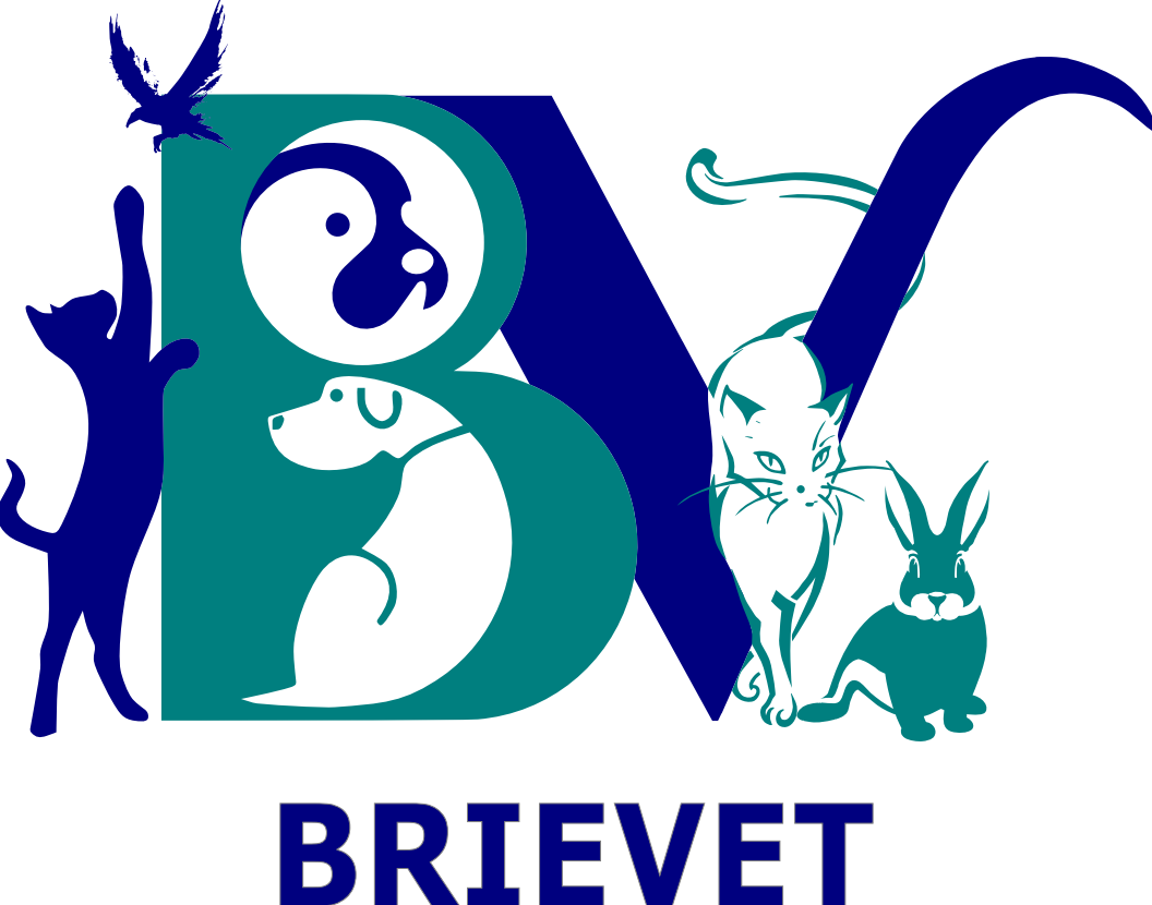 Clinique Vétérinaire BRIEVET